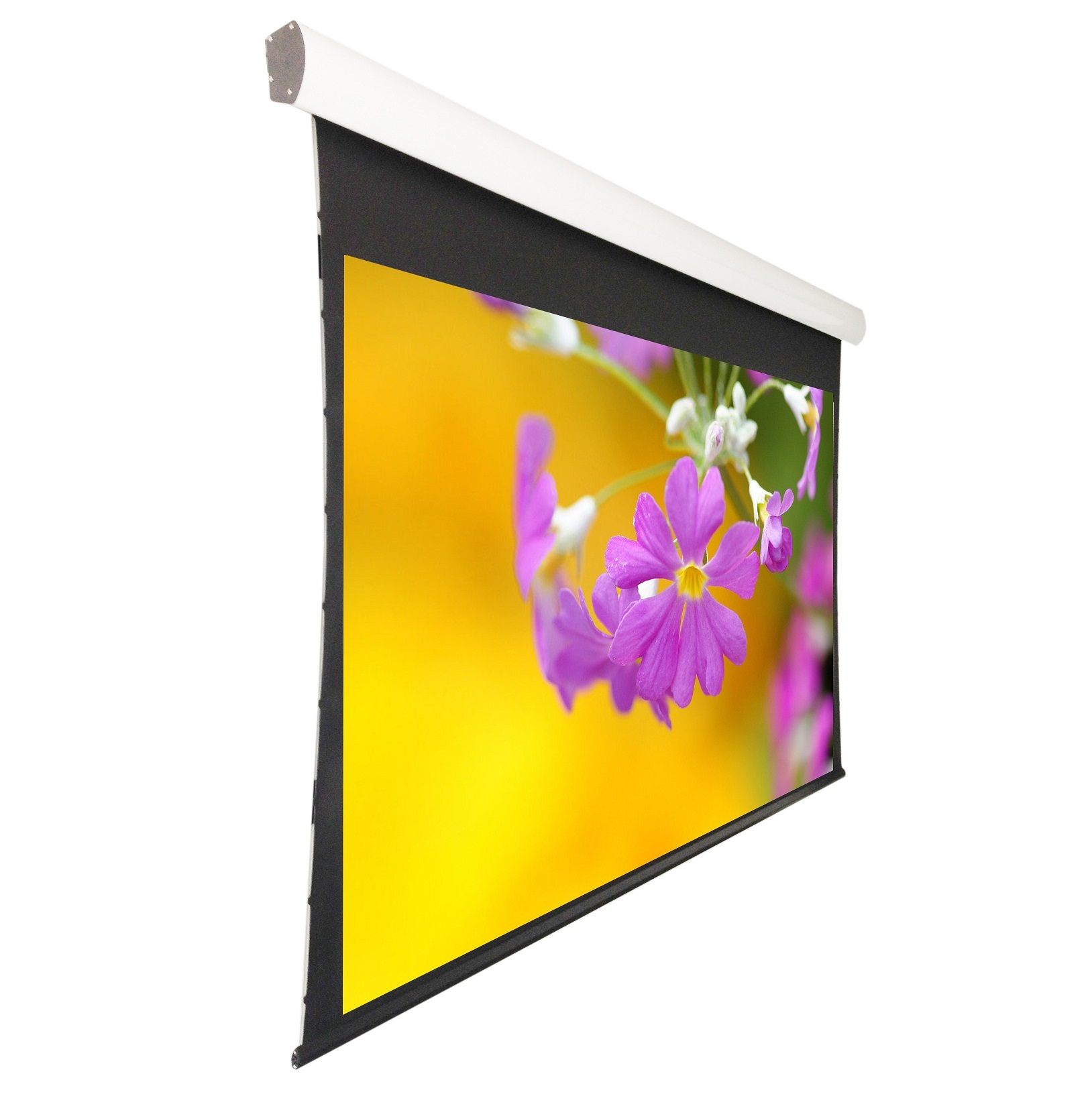  Screen Electric Projector Screen Wall Ceiling Mounted projection screen 