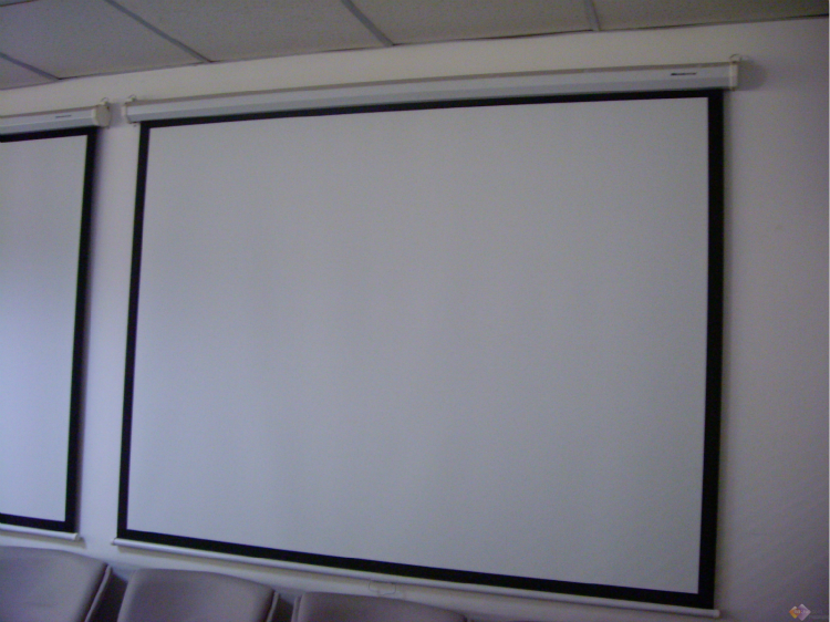 Manual Wall Projection Screen Pull Down Projector Screen