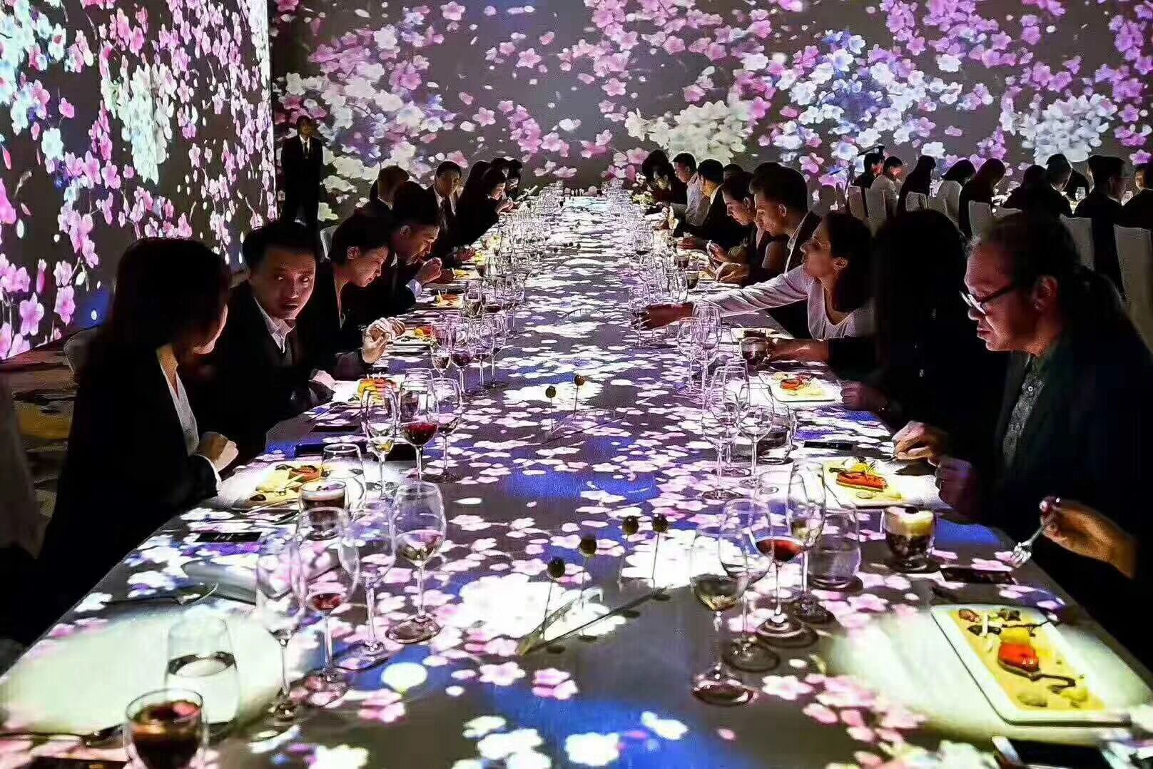 Magic Holo Gauze 3D Holographic mesh screen Up to 9 meters